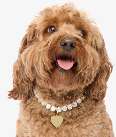 (🔥The best Christmas gift) DIYSTAR Latest pet diamond heart necklace